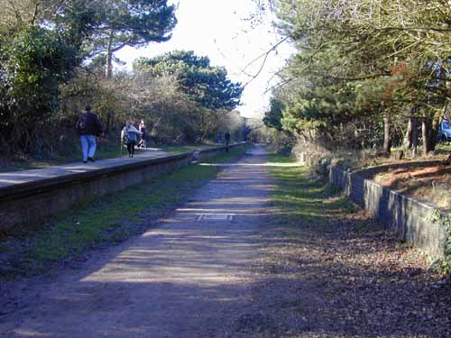 Parapet="500"
