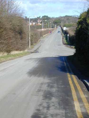 Parapet="500"