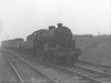 42923 at Thurstaston